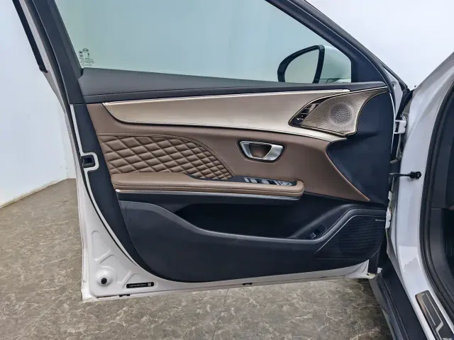 BYD Han — Фото автомобиля 19