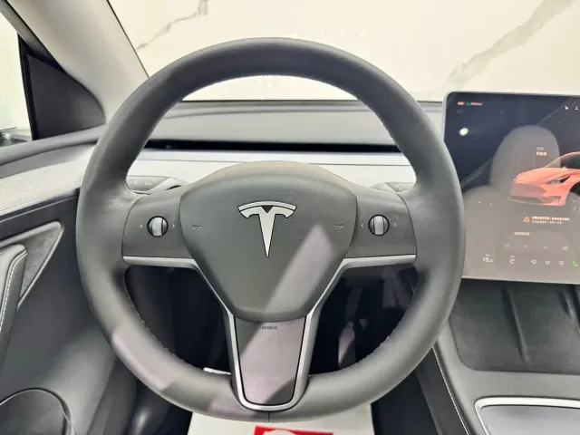 Tesla Model Y — Фото автомобиля 10