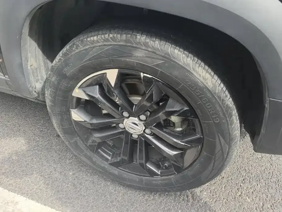 Haval Haval Big Dog 2021 1.5T DCT 2WD Border Collie Edition — Фото автомобиля 6