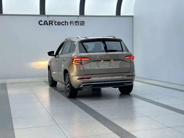 Skoda Karoq — Фото автомобиля 6