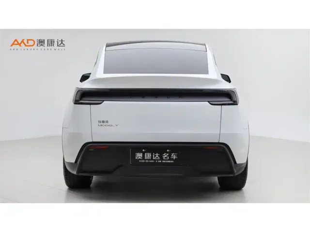 Tesla Model Y — Фото автомобиля 4
