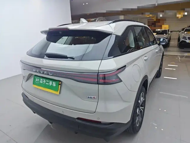 Haval Xiaolong MAX — Фото автомобиля 6