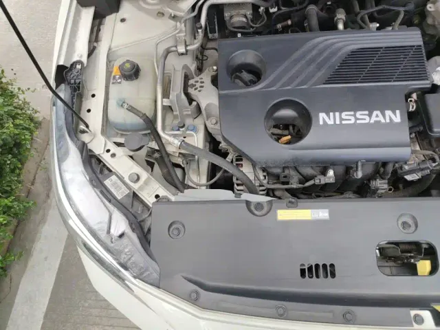Nissan Sylphy — Фото автомобиля 20