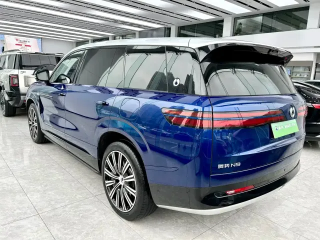 Denza N9 — Фото автомобиля 9