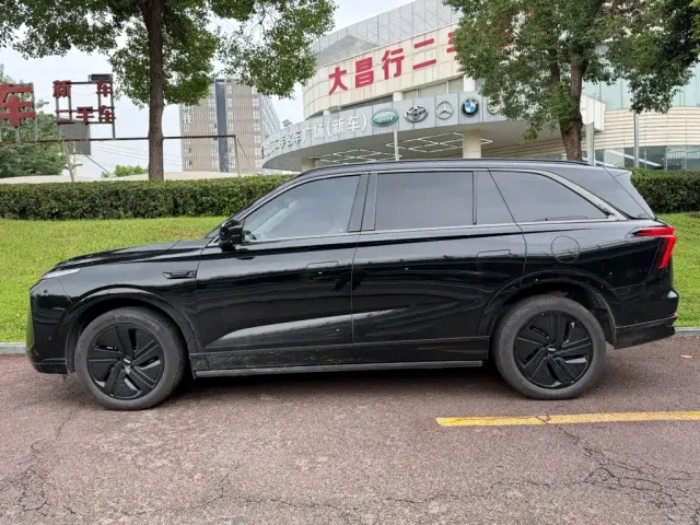 Wey Lanshan — Фото автомобиля 3