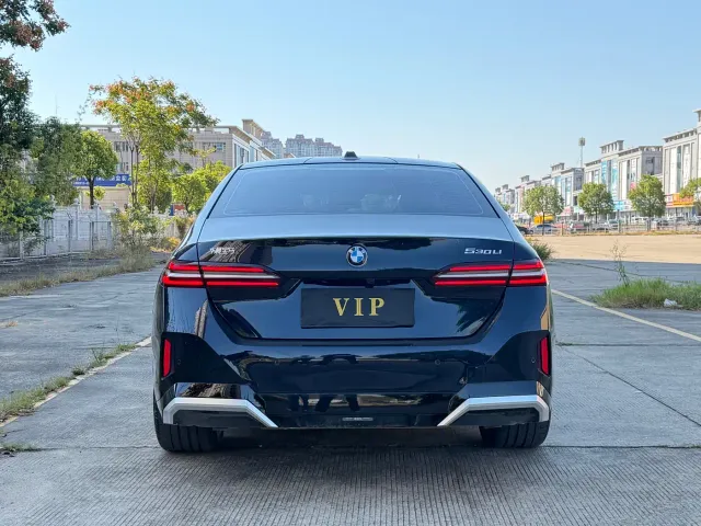 BMW 5 Series — Фото автомобиля 14