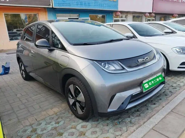 BYD Dolphin — Фото автомобиля 3