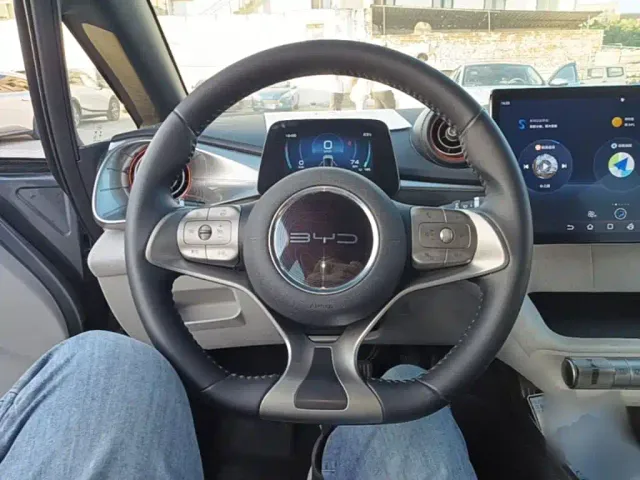 BYD Dolphin — Фото автомобиля 10