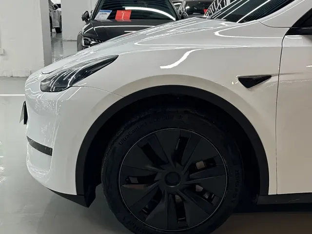 Tesla Model Y — Фото автомобиля 4