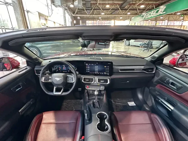 Ford Mustang — Фото автомобиля 8