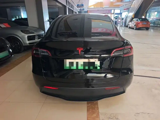Tesla Model Y — Фото автомобиля 3