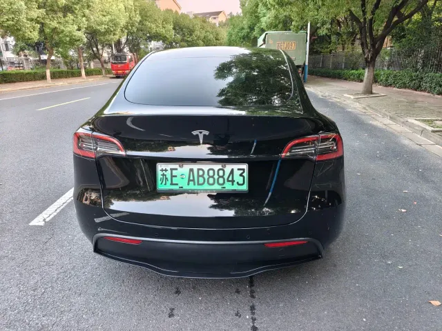 Tesla Model Y — Фото автомобиля 10