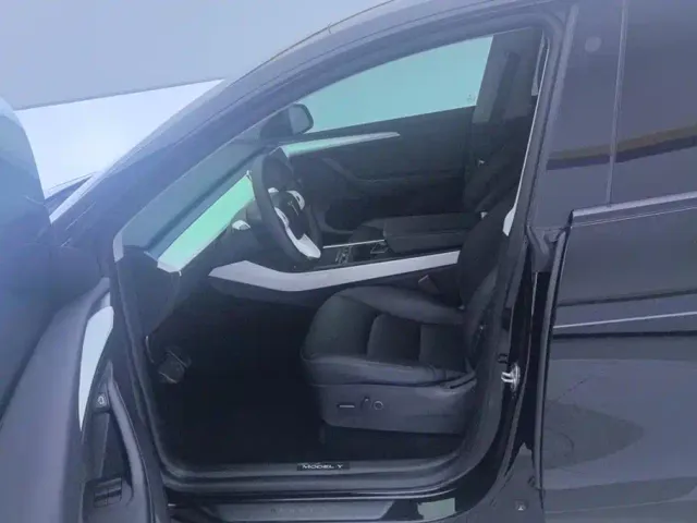 Tesla Model Y — Фото автомобиля 9