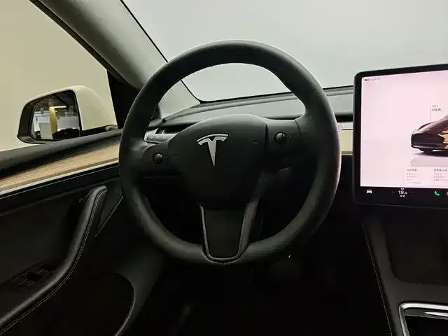 Tesla Model Y — Фото автомобиля 11