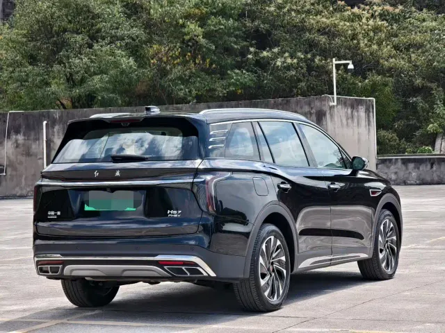 Hongqi HS7 PHEV — Фото автомобиля 3