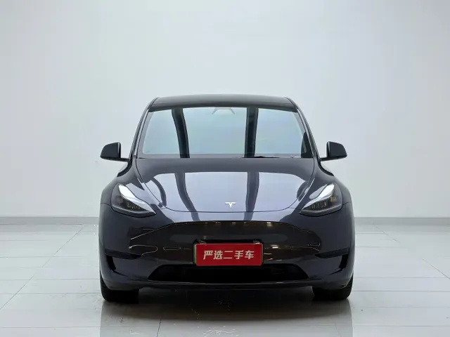 Tesla Model Y — Фото автомобиля 2