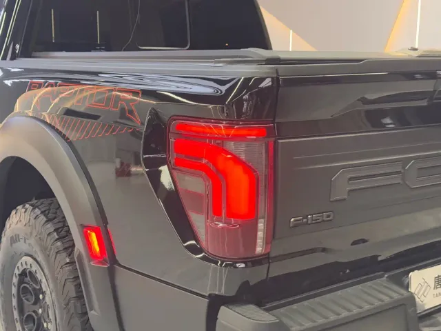 Ford F-150 Raptor — Фото автомобиля 10