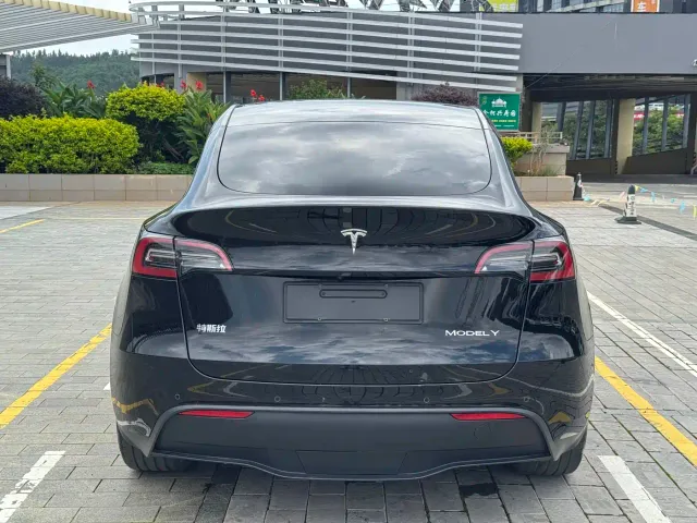 Tesla Model Y — Фото автомобиля 11