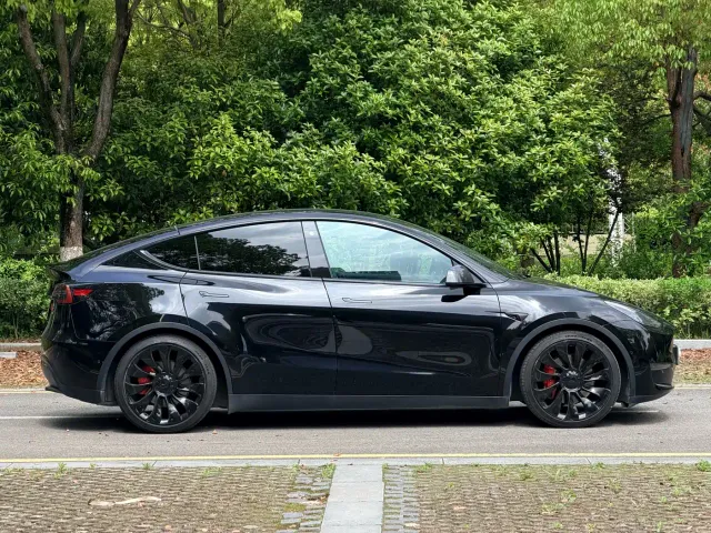 Tesla Model Y — Фото автомобиля 4