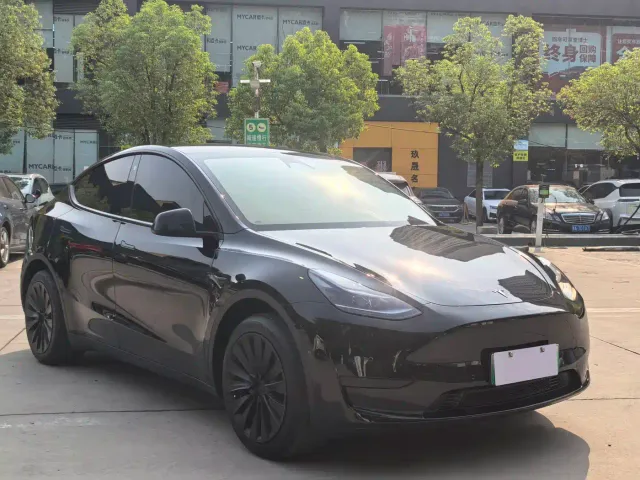 Tesla Model Y — Фото автомобиля 3