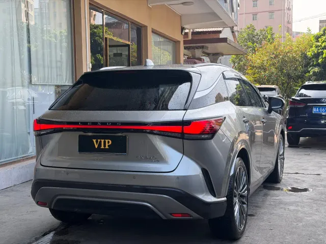 Lexus RX — Фото автомобиля 10