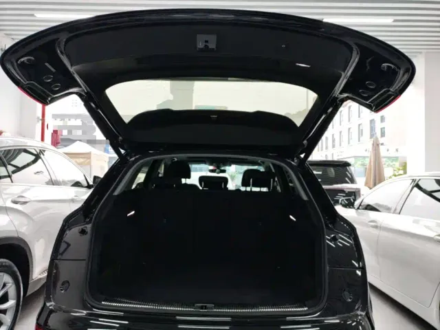 Audi Q5L — Фото автомобиля 14