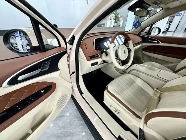 Ora Good Cat — Фото автомобиля 14