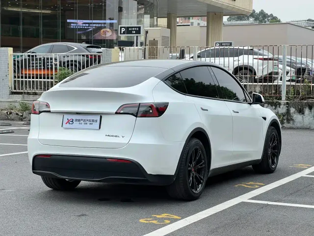 Tesla Model Y 2021 Standard Range Rear-Wheel Drive — Фото автомобиля 5