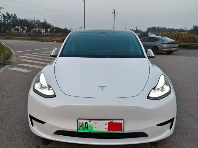 Tesla Model Y — Фото автомобиля 2
