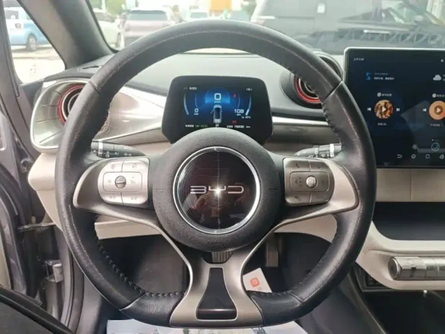BYD Dolphin — Фото автомобиля 10
