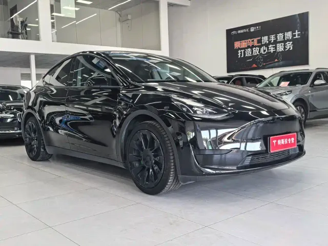 Tesla Model Y — Фото автомобиля 3