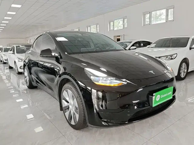 Tesla Model Y — Фото автомобиля 3