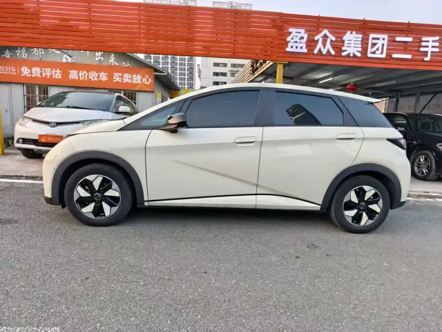 BYD Dolphin — Фото автомобиля 4
