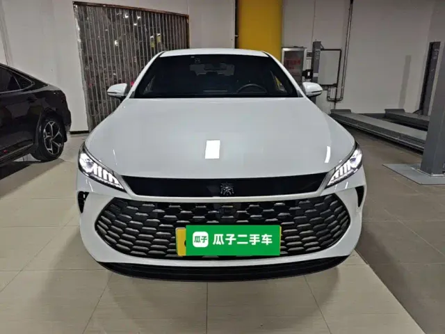 BYD Qin PLUS — Фото автомобиля 2