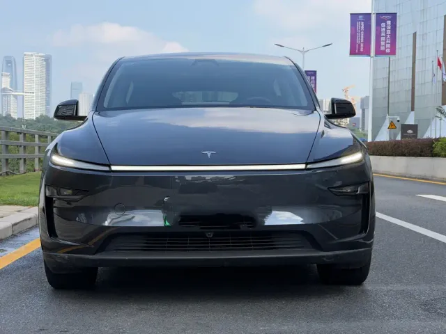 Tesla Model Y — Фото автомобиля 2