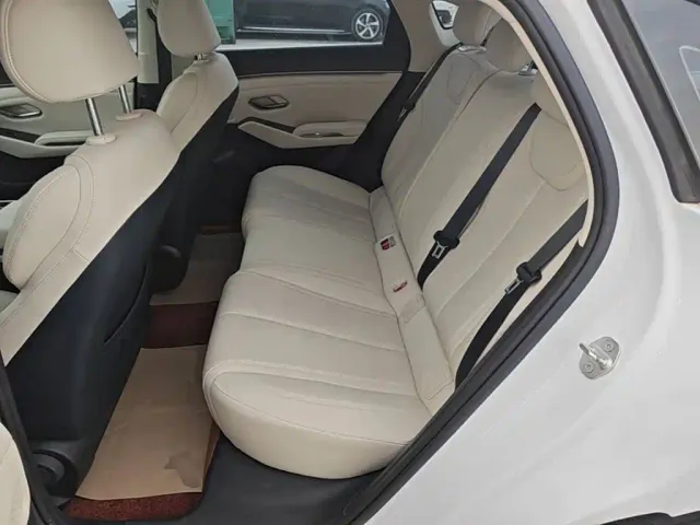 BYD Qin L — Фото автомобиля 16