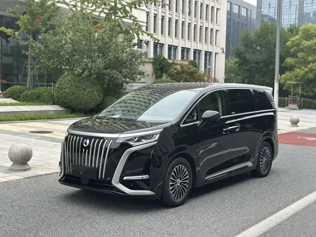 Фотография автомобиля — Denza D9
