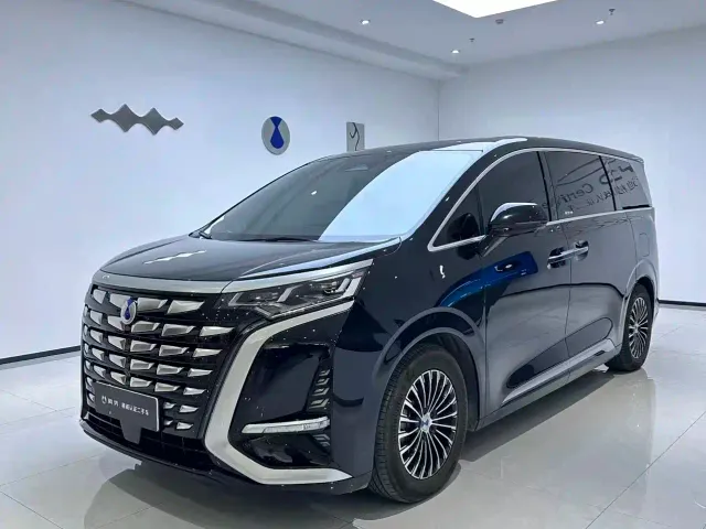 Фотография автомобиля — Denza D9