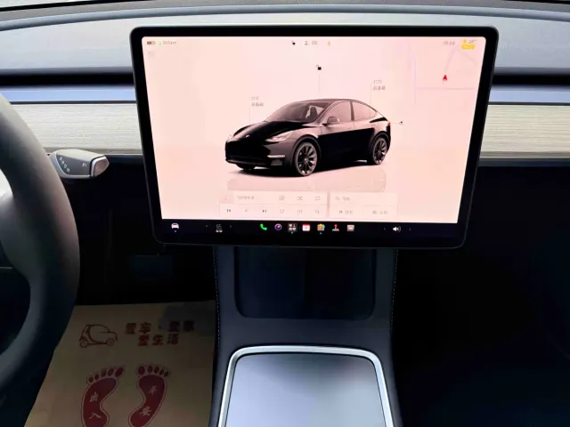 Tesla Model Y — Фото автомобиля 16