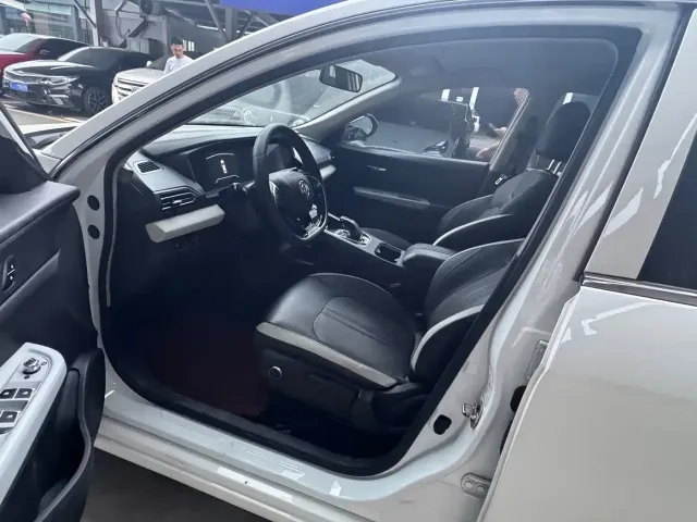 Dongfeng Aeolus Dongfeng Fengshen E70 2022 500 Ultra Edition — Фото автомобиля 4