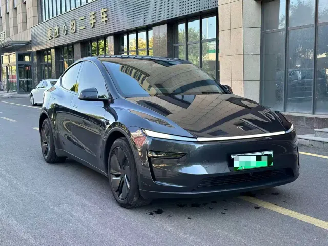 Tesla Model Y — Фото автомобиля 2