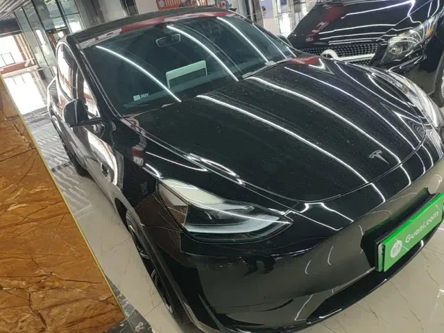 Tesla Model Y — Фото автомобиля 3