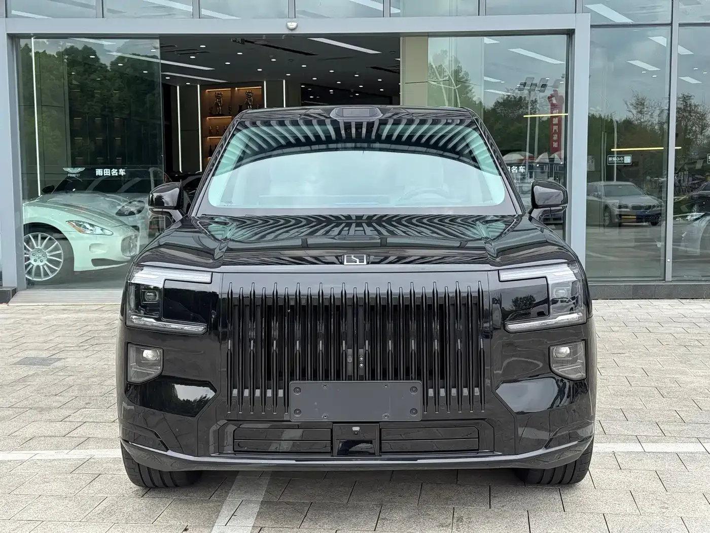 ZEEKR Zeekr 9X 2025 Model Gloss Black Edition — Фото автомобиля 2
