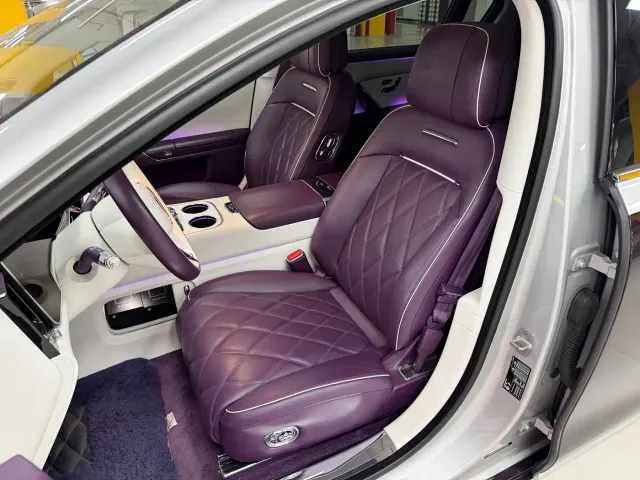 Zunjie Zunjie S800 2025 Model Extended Range Starlight Executive Edition 4-seater — Фото автомобиля 10