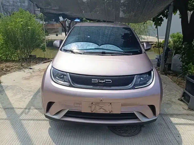 BYD Dolphin — Фото автомобиля 2