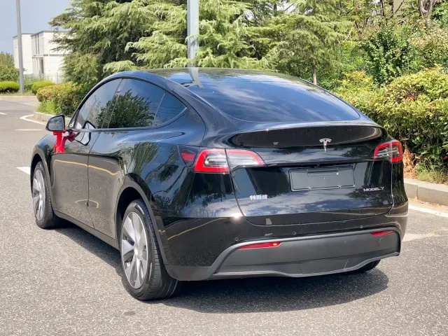 Tesla Model Y — Фото автомобиля 7