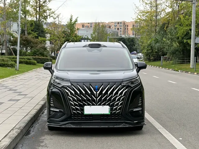 Denza D9 — Фото автомобиля 2
