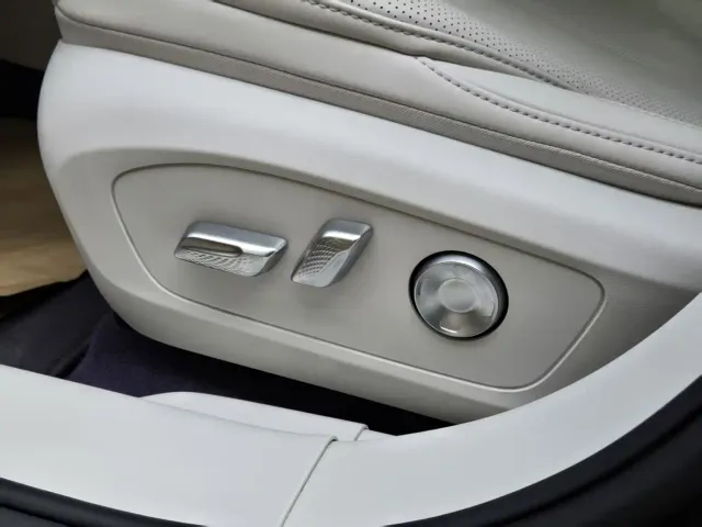 Buick Electra L7 — Фото автомобиля 9