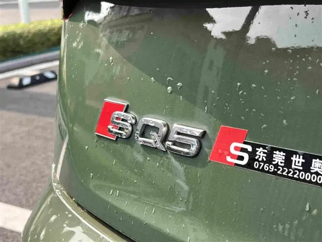 Audi SQ5 — Фото автомобиля 13