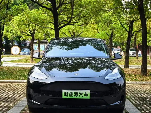 Tesla Model Y 2021 Standard Range Rear-Wheel Drive — Фото автомобиля 2